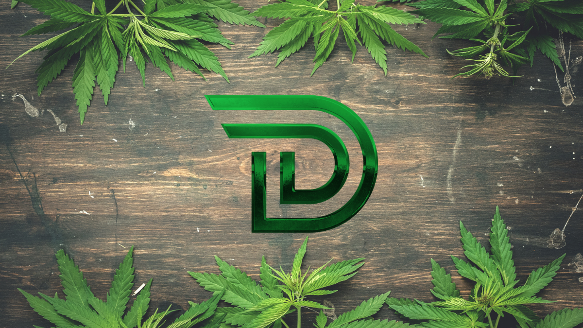 THC vs CBD: What's the Difference, Anyways?